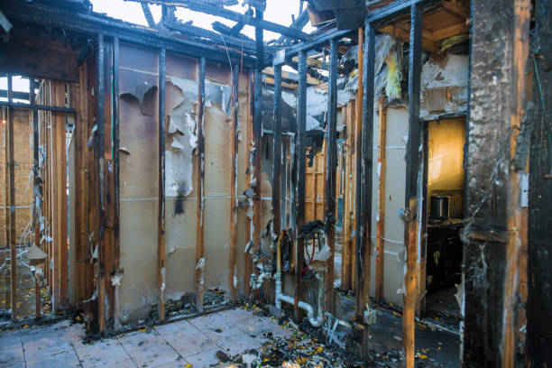 Professional Fire Damage Assessment technician working in Taylor, AL